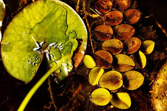 移动端app下载与体验预览